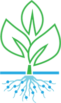 Growth Icon
